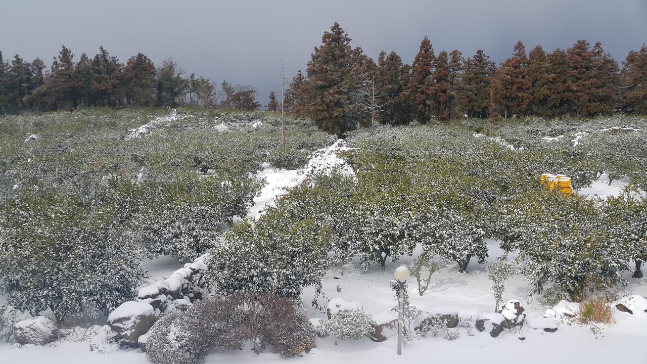 Jeju Mermuri Yerye-dong エクステリア 写真
