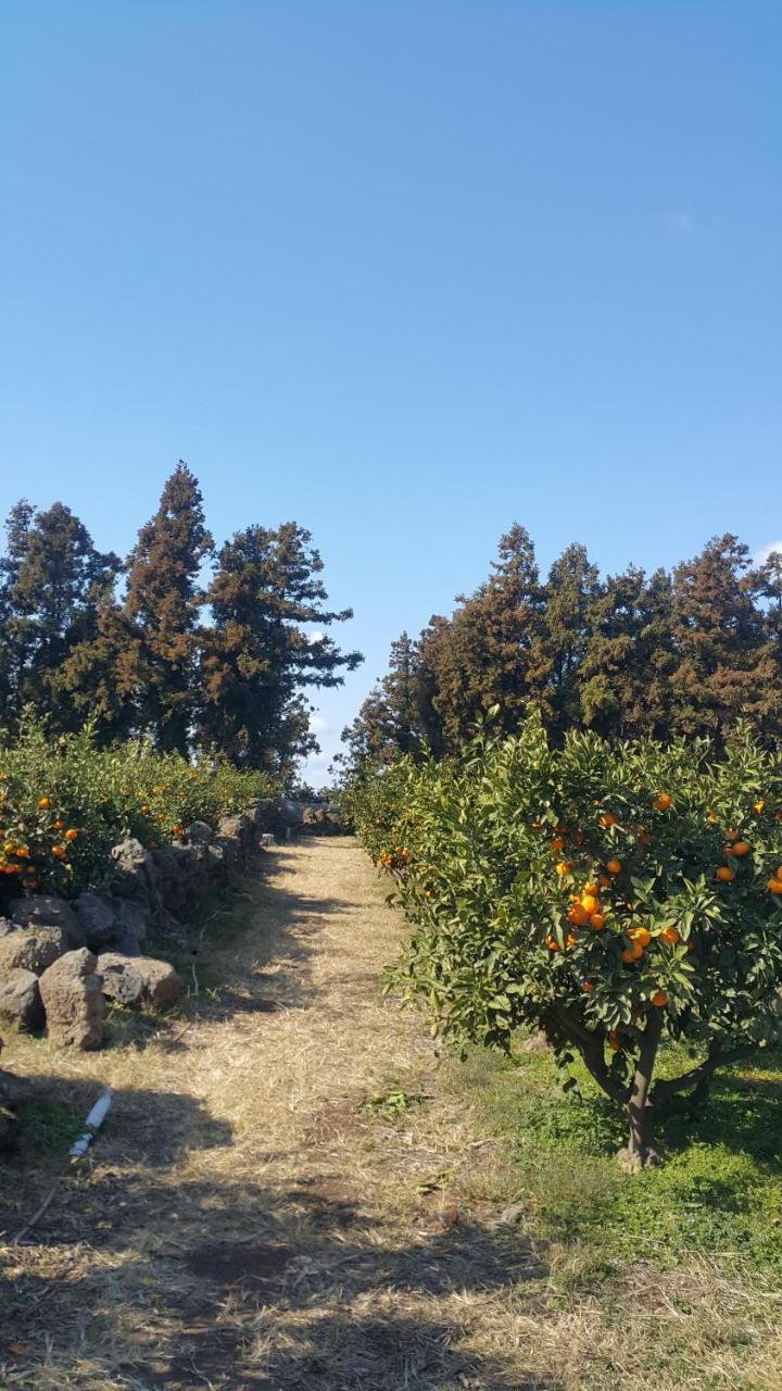 Jeju Mermuri Yerye-dong エクステリア 写真