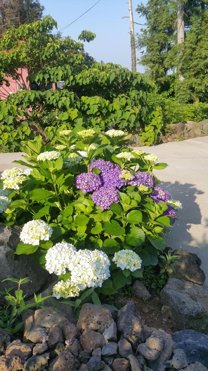 Jeju Mermuri Yerye-dong エクステリア 写真