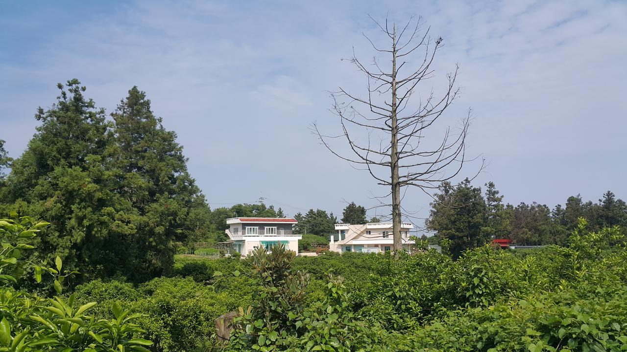 Jeju Mermuri Yerye-dong エクステリア 写真