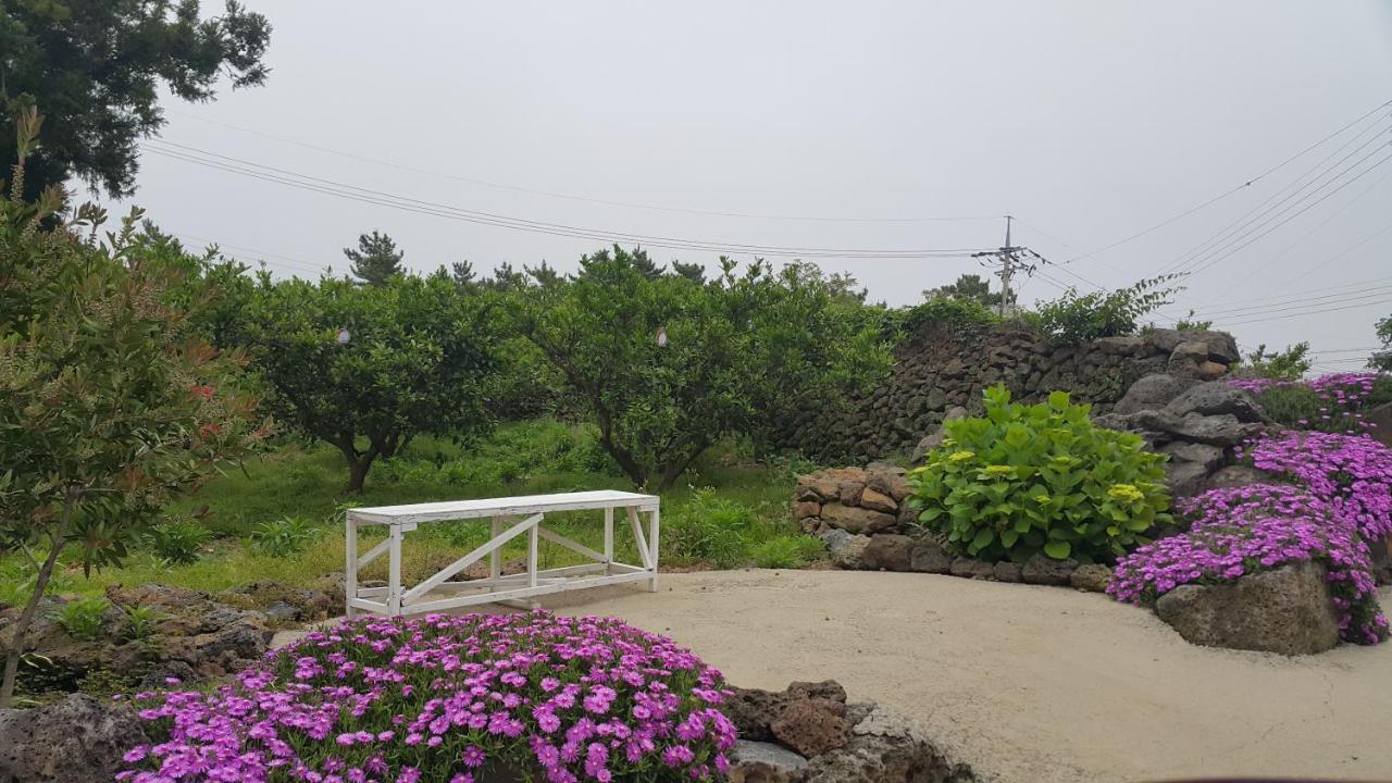 Jeju Mermuri Yerye-dong エクステリア 写真