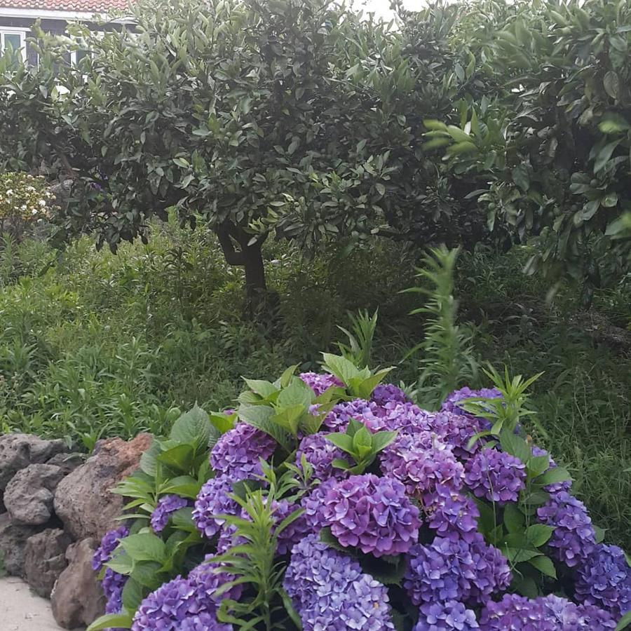 Jeju Mermuri Yerye-dong エクステリア 写真