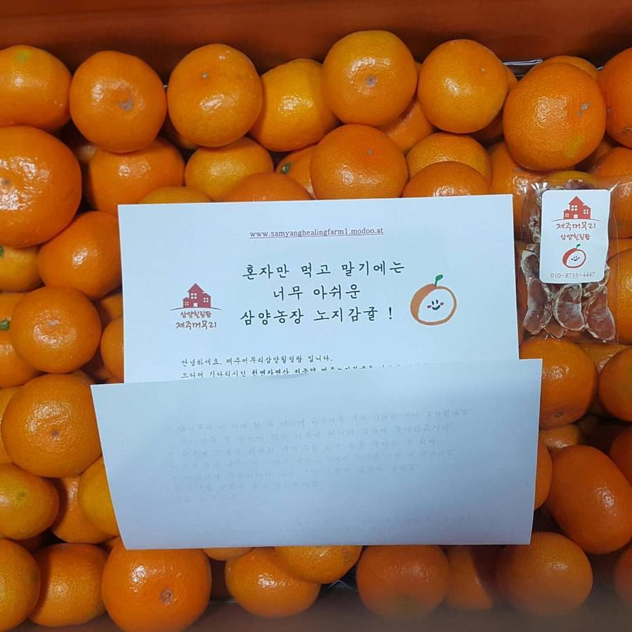 Jeju Mermuri Yerye-dong エクステリア 写真